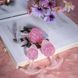 Анальная пробка Liebe Seele Icecream-shaped Crystal Anal Plug - Pink Medium SX4867 фото 4