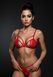 Комплект Passion ANUVERA SET fire brick M SX2899 фото 10