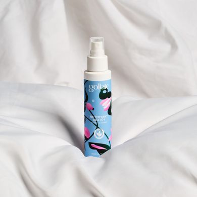 Антибактериальный спрей для игрушек Goliate Nettoyant Sextoy 100 мл, безопасный для тела SX3018 фото