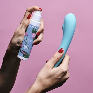 Антибактериальный спрей для игрушек Goliate Nettoyant Sextoy 100 мл, безопасный для тела SX3018 фото