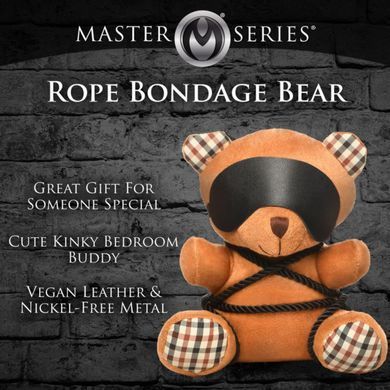 Плюшевый медвежонок ROPE Teddy Bear БДСМ в кожаной маске и обвязке, 22x16x12 см SO9816 фото