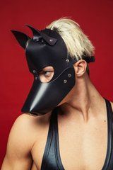 Маска собаки для BDSM: D&A SO9561 фото