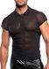 Мужское поло Noir Handmade H082 Onyx veil polo XL SX4175 фото 4
