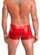 Чоловічі шорти Noir Handmade H097 Ignite shorts S SX4217 фото 2