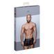 Чоловічі шорти Noir Handmade H006 Men shorts, L, з мокрим ефектом SX0003 фото 5