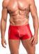 Чоловічі шорти Noir Handmade H097 Ignite shorts M SX4218 фото 1