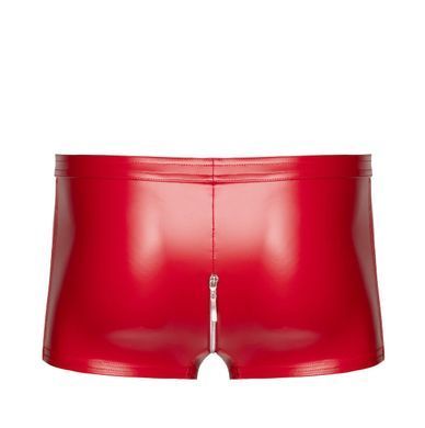 Мужские шорты Noir Handmade H097 Ignite shorts L SX4219 фото