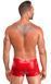 Мужские шорты Noir Handmade H097 Ignite shorts L SX4219 фото 4