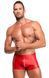 Мужские шорты Noir Handmade H097 Ignite shorts XL SX4220 фото 3